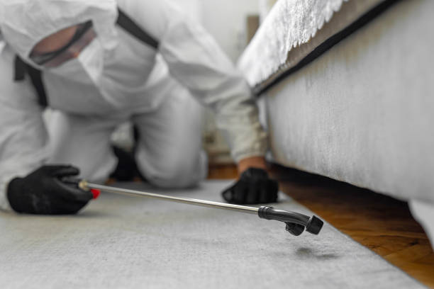 Professional Bed Bug Control technician working in Seaside, OR